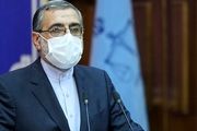 اسماعیلی: برای برخی ترک فعل ها باید ضمانت کیفری پیش بینی شود