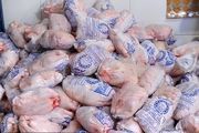 توافق برای ترانزیت و ترخیص مرغهای وارداتی